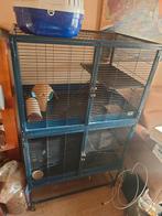 Ratten kooi, Dieren en Toebehoren, Ophalen, 75 tot 110 cm, Kooi, 90 cm of meer