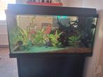 Aquarium Juwel primo 110, Ophalen, Gebruikt, Leeg aquarium