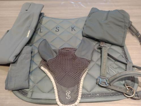 Prachtige set eskadron en lemieux complete set partij, Dieren en Toebehoren, Paardrijkleding, Zo goed als nieuw, Dames, Overige typen