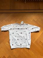 Witte Tommy Hilfiger trui met sterren - Maat 164 14 jaar!, Ophalen of Verzenden, Zo goed als nieuw, Meisje, Trui of Vest