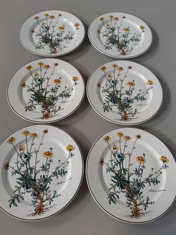Dinerborden 24 cm Villeroy en Boch Botanica, 12 beschikbaar  beschikbaar voor biedingen