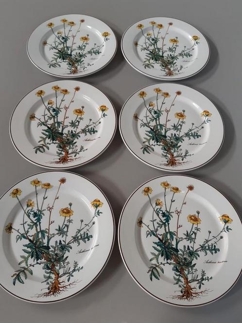 Dinerborden 24 cm Villeroy en Boch Botanica, 12 beschikbaar, Huis en Inrichting, Keuken | Servies, Zo goed als nieuw, Bord(en)