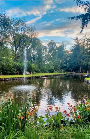 Vissen gezocht voor grote natuurvijver beschikbaar voor biedingen