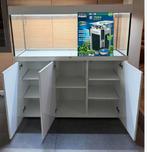 Unieke aanbieding Juwel 240 ltr aquarium, Dieren en Toebehoren, Vissen | Aquaria en Toebehoren, Ophalen of Verzenden, Leeg aquarium