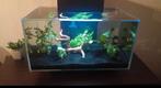 Fluval Edge aquarium, Ophalen of Verzenden, Gebruikt, Filter of Co2