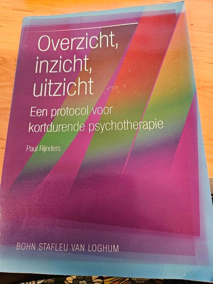 Overzicht, Inzicht En Uitzicht van Paul Rijnders, Boeken, Studieboeken en Cursussen, Gelezen, HBO, Beta, Ophalen of Verzenden