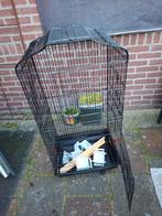 Vogel kooi, Dieren en Toebehoren, Ophalen, Metaal, Vogelkooi