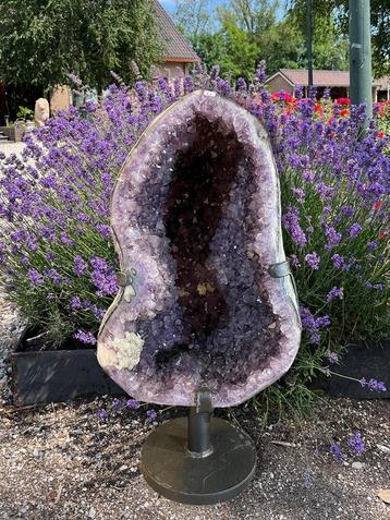 Amethist geode (14) van 37 kg, diep paars/lila kristallen.