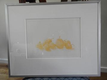 Ets "Peren-uitjes" - Gesigneerd - Marijke Fast (1950-) beschikbaar voor biedingen