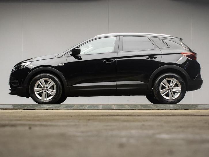 Opel Grandland X 1.2 Turbo Business Executive Sport (APPLE C, Auto's, Opel, Bedrijf, Te koop, Grandland X, ABS, Achteruitrijcamera