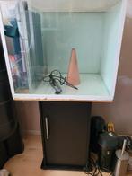 Kweek aquarium, 50/50/50cm,inclusief meubel, Dieren en Toebehoren, Vissen | Aquaria en Toebehoren, Ophalen, Gebruikt, Leeg aquarium