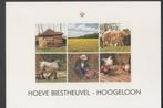 Hoogeloon Hoeve Biestheuvel Hooiberg Paard Boer Haan Kip, Ongelopen, Noord-Brabant, Verzenden, 1980 tot heden