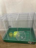 Hamster benodigdheden, Dieren en Toebehoren, Knaagdieren en Konijnen | Hokken en Kooien, Kooi, Minder dan 75 cm, Zo goed als nieuw