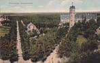 Ansichtkaart 1912 Zuidlaren Panorama Dennenoord, Verzamelen, Ansichtkaarten | Nederland, Ophalen of Verzenden, Voor 1920, Gelopen