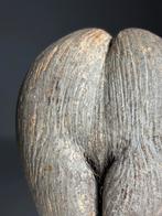 Coco de mer op custom standaard, Ophalen