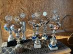 Prijzenbekers trofee 42-50 cm per stuk, Ophalen, Gebruikt, Versiering