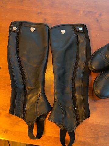 Quur chaps (brede kuit) beschikbaar voor biedingen