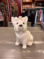 Beeld West Highland White Terriër, hoogte 23 cm, Verzamelen, Ophalen of Verzenden, Zo goed als nieuw, Mens