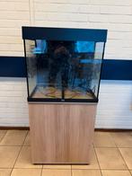 Juwel aquarium 60x40x60, Dieren en Toebehoren, Ophalen, Zo goed als nieuw, Leeg aquarium