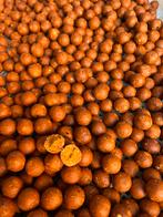 Flamming orange boilies, Watersport en Boten, Hengelsport | Karpervissen, Ophalen of Verzenden, Nieuw, Overige typen