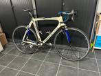Pinarello Dogma Racefiets, Fietsen en Brommers, Fietsen | Racefietsen, Overige merken, 28 inch, Gebruikt, Carbon