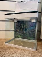 Superfish Aquarium 35ltr, Dieren en Toebehoren, Vissen | Aquaria en Toebehoren, Ophalen, Gebruikt, Leeg aquarium