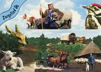 ZORGVLIED Heide Kudde Paarde Herder Collage, Verzamelen, Ansichtkaarten | Nederland, Verzenden, 1980 tot heden, Gelopen, Drenthe