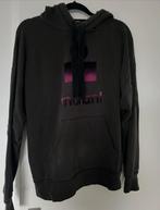 Isabel Marant hoodie maat 40, Ophalen of Verzenden, Zo goed als nieuw, Grijs, Maat 38/40 (M)