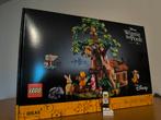 Lego 21326 Winnie The Pooh, Kinderen en Baby's, Speelgoed | Duplo en Lego, Ophalen of Verzenden, Nieuw, Lego