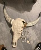 Carved Cow Skull/ hoorn schedel voor aan de muur, Ophalen