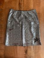 Fantastische zilveren rok van Fabienne Chapot maat M, Kleding | Dames, Rokken, Verzenden, Zo goed als nieuw, Zwart