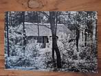 Fotokaart Grolloo - De Berenkuil, Ophalen of Verzenden, 1960 tot 1980, Gelopen, Drenthe