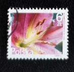 Polen MI 4853 bloem, Postzegels en Munten, Postzegels | Europa | Overig, Ophalen of Verzenden, Polen, Gestempeld