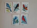 5 stuks vogels , vogel van Bolletje, Nieuw, Meerdere plaatjes, Ophalen of Verzenden