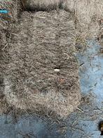 Hooi pakjes, Ophalen of Verzenden, Vee