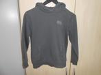 Grijze hoodie maat 152 van Raizzed, Gebruikt, Trui of Vest, Ophalen of Verzenden, Raizzed