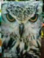 Uil spullen, Ophalen of Verzenden, Zo goed als nieuw, Vogel, Beeldje of Figuurtje