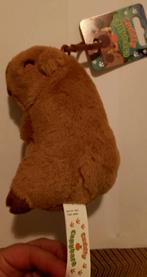 Cuddly Capybara Knuffel, Ophalen, Nieuw, Overige typen