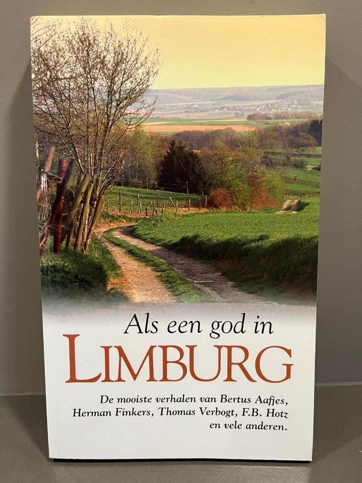 Als een god in Limburg - S. Kuyper, Boeken, Streekboeken en Streekromans, Zo goed als nieuw, Limburg, Ophalen of Verzenden