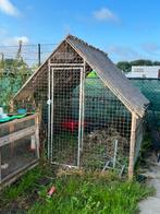 Kippen ren 2 bij 2 met stevig gaas!, Dieren en Toebehoren, Pluimvee | Toebehoren, Ophalen, Kippenhok of Kippenren