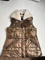 Bodywarmer gaastra, Kleding | Dames, Gaastra, Blauw, Maat 42/44 (L), Ophalen of Verzenden