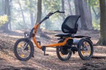 Van Raam easy rider beschikbaar voor biedingen