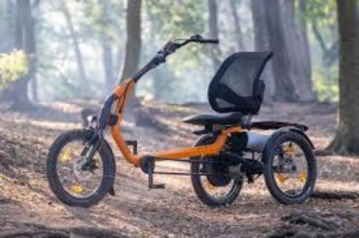 Van Raam easy rider, Fietsen en Brommers, Fietsen | Driewielfietsen, Nieuw, Ophalen