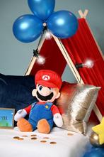 Slaapfeestje Mario & Luigi, volledig verzorgde, tipi, Ophalen of Verzenden, Zo goed als nieuw