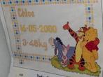 Winnie the Pooh Borduurpakket - Nieuw!, Ophalen of Verzenden, Nieuw, Borduurpakket