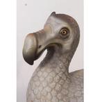 Dodo Bird beeld Hoogte 54 cm, Ophalen, Nieuw