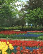 34440 Lisse Keukenhof Nette oude kaart Onbeschreven, Verzamelen, Ansichtkaarten | Nederland, Ophalen of Verzenden, 1960 tot 1980