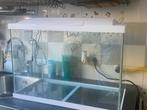 Aquarium met meubel, Ophalen of Verzenden, Zo goed als nieuw, Leeg aquarium