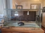 Terrarium (glas)120x60x50 GRATIS, Dieren en Toebehoren, Reptielen en Amfibieën | Toebehoren, Ophalen, Zo goed als nieuw, Terrarium of Paludarium