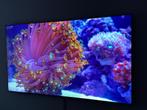 Samsung UE65MU7000 4K 65inch Smart TV, 100 cm of meer, Samsung, Smart TV, 4k (UHD)